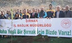 Cudi Dağı Eteklerinde 1000 Fidan Toprakla Buluştu