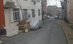 Başakşehir Ve Beylikdüzü’nde Sokak Köpekleri Dehşeti