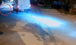 Kamyonetin köpeğe çarpmasıyla ilgili görüntüler ortaya çıktı