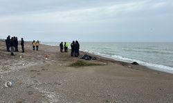 Karasu Sahilinde Erkek Cansız Bedeni Bulundu