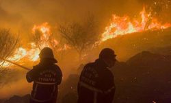 Yamanlar Yangını Sonrası Rant İddialarına Resmî Açıklama