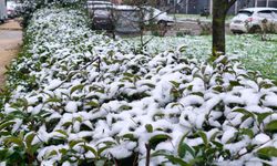 Edirne Keşan’da Kar Yağışı Etkisini Sürdürüyor