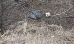 Komşusunun Ölümü Üzerine Şüpheli Dere Yatağı İncelemesiyle Yakalandı