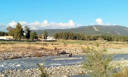 Suriyeli Çocuk Köprüden Düşerek Hayatını Kaybetti
