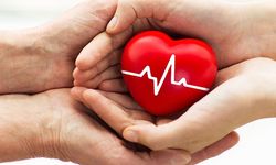 Kalp Sağlığınızı Destekleyen 8 Takviye ve Etkileri