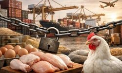 Bakanlıktan Kanatlı Et İhracatına Durdurma Kararı