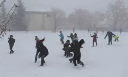 Van’ın 4 İlçesinde Eğitime Kar Engeli