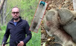 Fethiye’de Araca Çarpan Kurt, TÜBİTAK Projesine Işık Tutacak