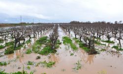 Manisa’da Çay Taştı, Köprü Su Altında Kaldı