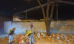 Manisa’da şiddetli rüzgar minareye ve ağaçlara zarar verdi