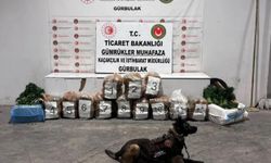 Sebze Yüklü TIR’da 51 Kilo Esrar Ele Geçirildi
