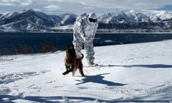 Mehmetçikten Kar Üstünde Köpekli Arama Tatbikatı