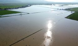 Menderes Nehrinde Taşkın Iki Bin Dönümlük Arazinin Su Altında Kalmasına Yol Açtı
