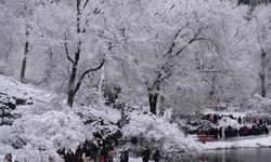 New York’ta Soğuk Hava 18 Can Aldı