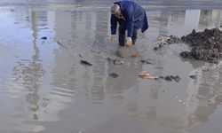 Nusaybin’de Sağanak: Yollar ve Okul Bahçeleri Suyla Doldu