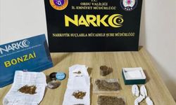 Ordu’da Yasaklı Madde Operasyonunda 19 Tutuklama
