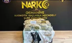 Osmaniye’de Otomobilde 36 Kilo Skunk Ele Geçirildi