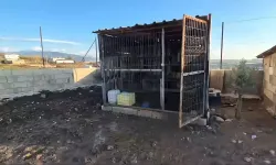 Osmaniye’de Güvercinleri Çaldı, O Anlar Kaydedildi