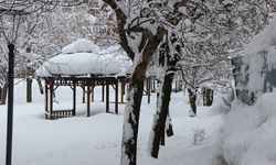 Karlıova'da Tipi Nedeniyle 35 Köy Yoluna Ulaşım Sağlanamıyor