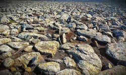 Şanlıurfa’da Cephanelik Bulundu 8 Kişi Gözaltına Alındı