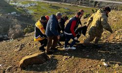 Siirt’te Otomobil Şarampole Devrildi: 1 Ölü, 1 Yaralı