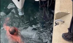 Soğuk Havaya Rağmen Denize Giren Vatandaş Orkinosu Kıyıya Taşıdı
