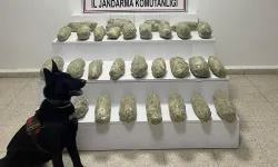 21 Kilo 350 Gram Skunk Van Kırsalında Ele Geçirildi