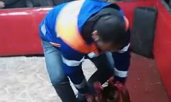 Horoz Dövüşüne Suçüstü: 661 Bin Lira Ceza