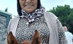 Teravihe Giden Kişi Kamyonet Kazasında Hayatını Kaybetti