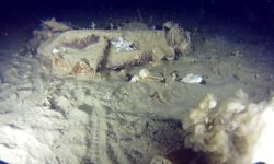 THY Uçağının 51 Yıl Sonra Enkazından Yeni Parçalar Çıktı