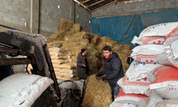 Yolda Kalan 200 Büyükbaşa Yem Ulaştırıldı