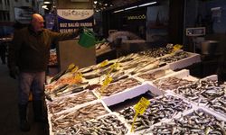 Trabzon’da Balık Tezgahlarında Çeşit Bolluğu