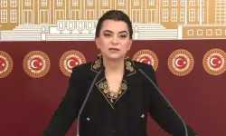 DEM Parti'li Koçyiğit’ten Barış Yasaları Çağrısı