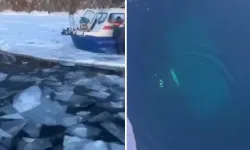 Rusya’da Baykal Gölü’nde Tur Aracı Buz Altına Düştü: 8 Ölü