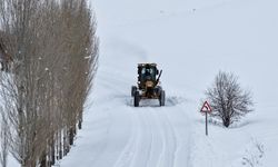 Van’da 106 Yerleşim Yeri Ulaşıma Kapandı, Kar 1 Metreyi Aştı