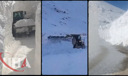 Van’da Mahalle Yolunda Çığ Engeli
