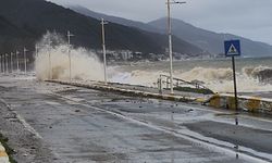 Yalova’da Deniz Taştı, Barınaklar Zarar Gördü