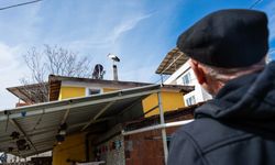 Nazlı Leylekten Sevindiren Haber