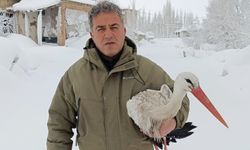 Yuvasından Düşen ve Kanatları Donan Leylek Kurtarıldı