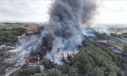 Tekirdağ’da Otluk Alana Sıçrayan Yangın Kısa Sürede Söndürüldü