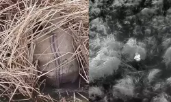 Ankara’da Kaçak Avcılık Denetiminde 13 İşlem