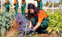 Adana Çukurova’da Tarım Eğitimi: Geleceğin Ziraatçıları Yetişiyor