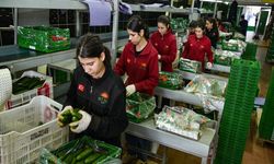 İran Krizi Sonrası Rusya Sebzeyi Türkiye'den Alıyor