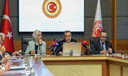 Komisyon Raporu: Çocuk İstismarını Önleyecek Yeni Yapı Şart