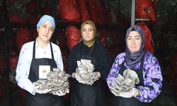 Ekonomiye Kadın Eli: Samsun’da Dev Mantar Üretimi