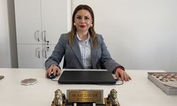 Şefler Böcek Proteinine Yöneliyor: Gastronomide Yeni Akım