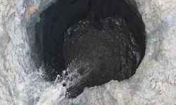 Göletin Suyu Çekildi: Balıklar Karaya Oturdu