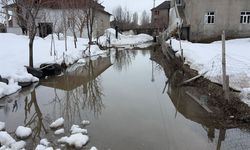 Yüksekova’da Eriyen Karlar Su Baskınlarına Yol Açtı