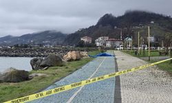 Ordu Sahiline Vuran Gizemli Cihaz: İnceleme Başlatıldı