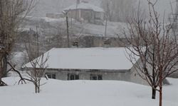 Van’da Mart Sonunda Kar Sürprizi: Kent Beyaza Büründü